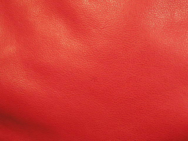 NWT Dooney & Bourke Red Large Zipper Pocket Sac Bag NR 4
