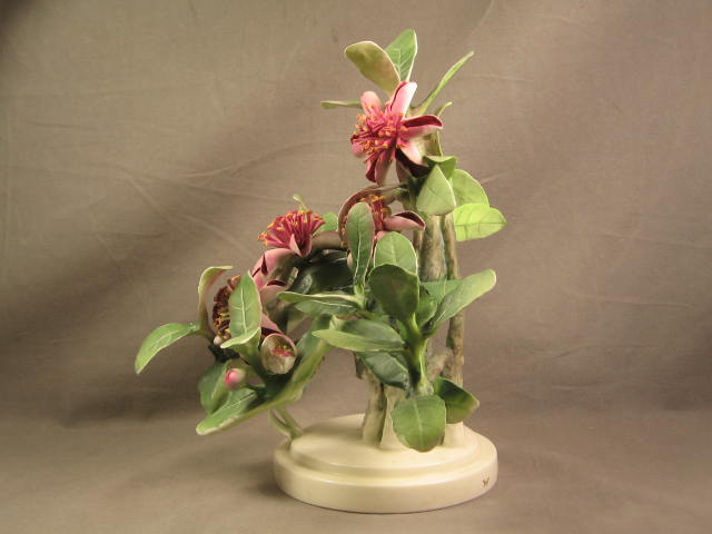 Royal Worcester Dorothy Doughty Mexican Feijoa Ladybird Flower Porcelain Figure 2