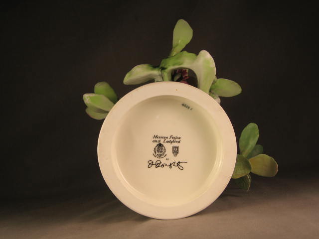 Royal Worcester Dorothy Doughty Mexican Feijoa Ladybird Flower Porcelain Figure 9