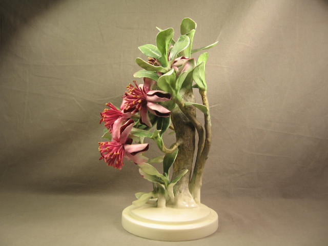 Royal Worcester Dorothy Doughty Mexican Feijoa & Ladybird Flower Figure Figurine 2