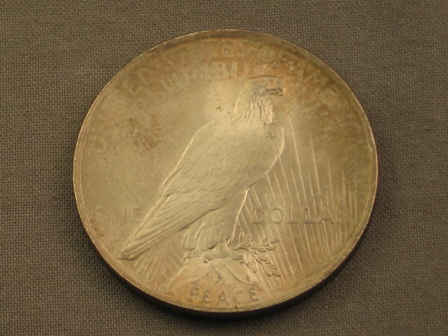 5 Silver Dollars 1886 1889 1921 Morgan +1922 1924 Peace 9