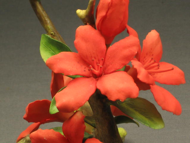 Connoisseur Of Malvern Azalea Blossom Flower Boehm NR! 1