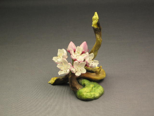 Connoisseur Of Malvern Potomac Princess Flower Boehm NR