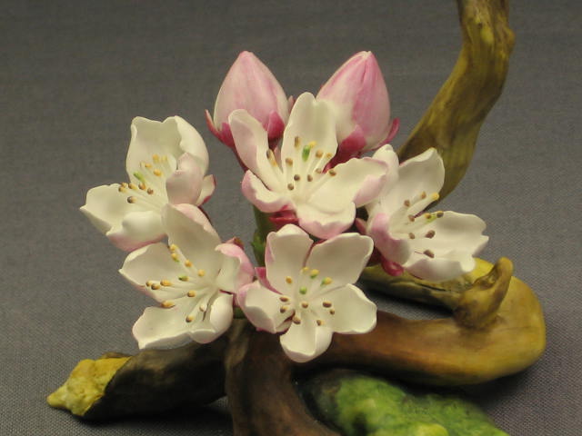 Connoisseur Of Malvern Potomac Princess Flower Boehm NR 1