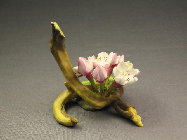 Connoisseur Of Malvern Potomac Princess Flower Boehm NR 2