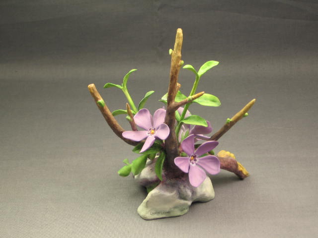 Connoisseur Of Malvern Periwinkle Flower Figurine Boehm 2
