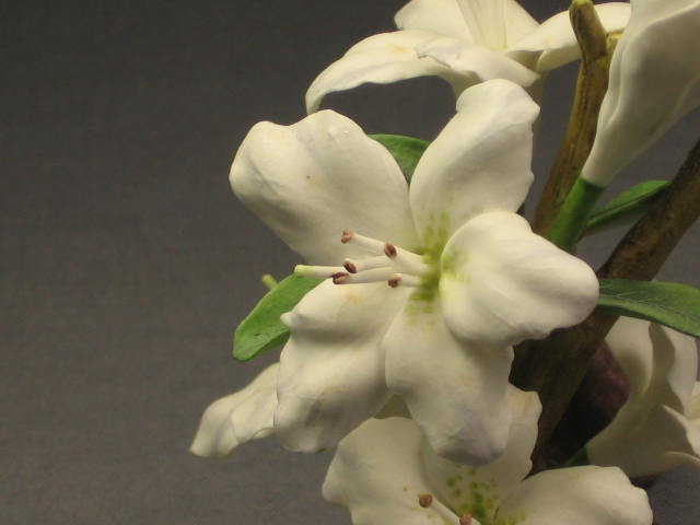 Signed Connoisseur Of Malvern White Azalea Flower Boehm 1