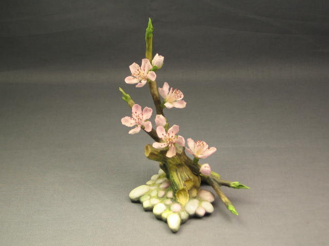 Connoisseur Of Malvern Almond Blossom Flower Boehm NR!