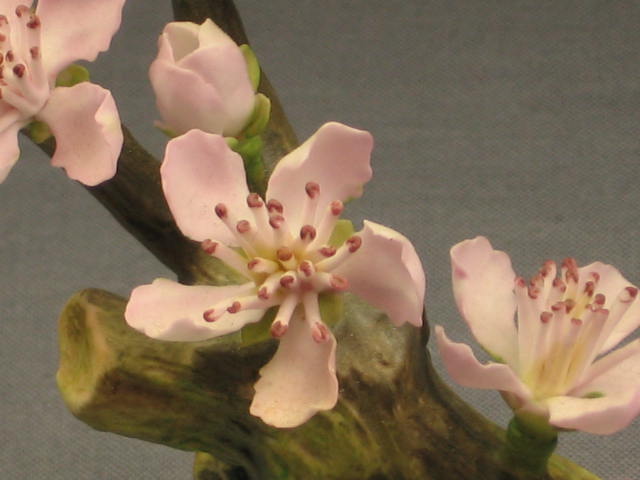 Connoisseur Of Malvern Almond Blossom Flower Boehm NR! 1