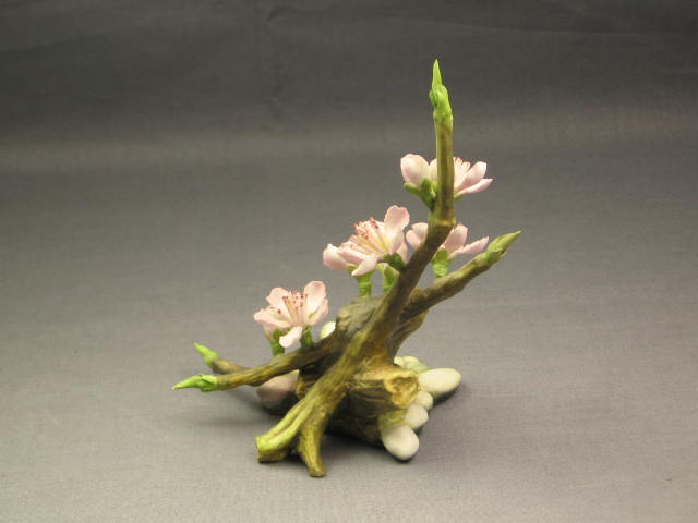 Connoisseur Of Malvern Almond Blossom Flower Boehm NR! 2