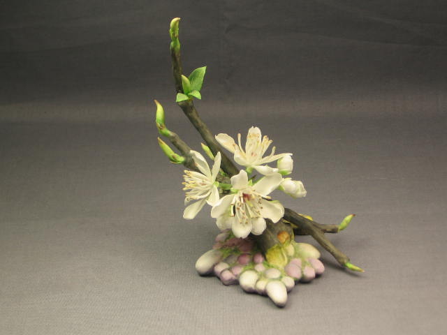 Rare Connoisseur Of Malvern Plum Blossom Flower Boehm