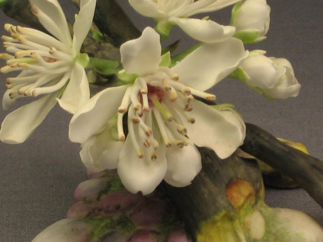 Rare Connoisseur Of Malvern Plum Blossom Flower Boehm 1