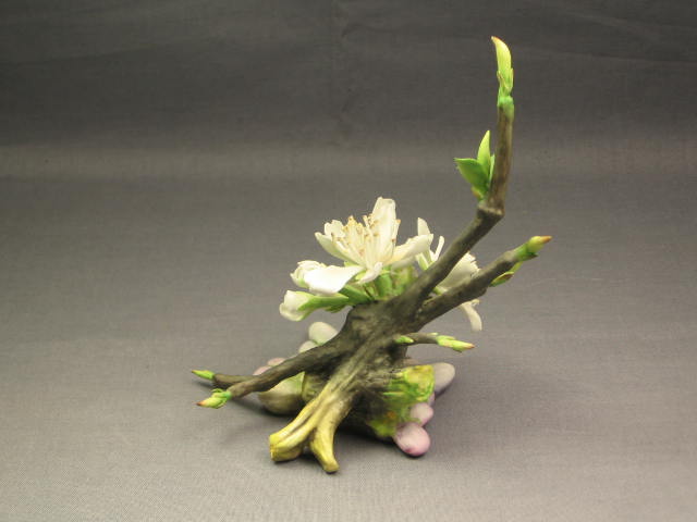 Rare Connoisseur Of Malvern Plum Blossom Flower Boehm 2