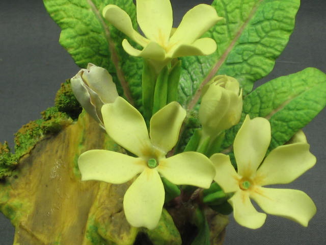 Connoisseur Of Malvern Primroses Flower Figurine Boehm 1