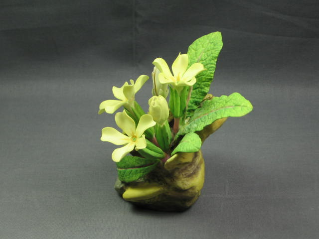 Connoisseur Of Malvern Primroses Flower Figurine Boehm 2