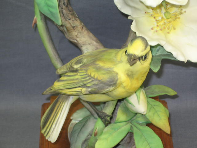 Royal Worcester Dorothy Doughty Hooded Warbler W/ Rose 1
