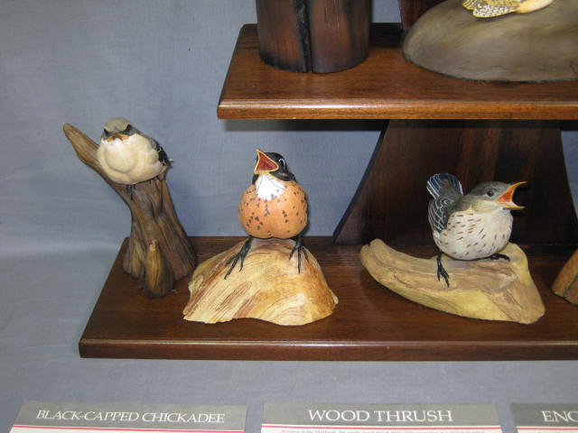 12 Danbury Mint Baby Birds Figurine Set W/ COAs + Rack 3