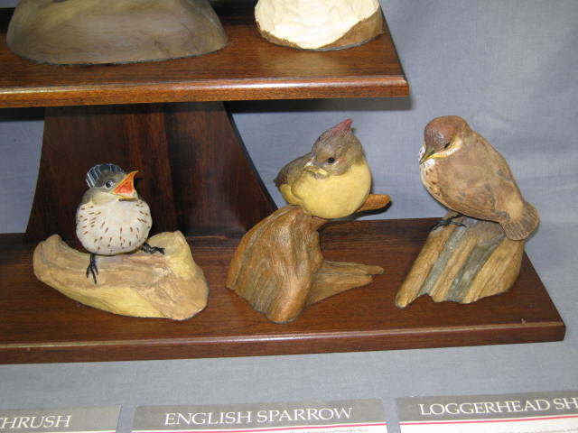 12 Danbury Mint Baby Birds Figurine Set W/ COAs + Rack 4