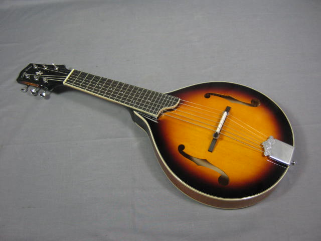 2010 Gold Tone 6-String GM6 GM-6 Guitar Mandolin W/ Bag 1