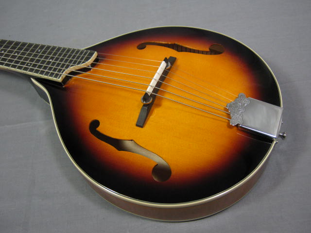2010 Gold Tone 6-String GM6 GM-6 Guitar Mandolin W/ Bag 2