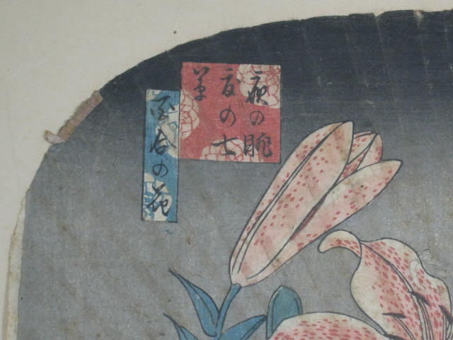 Antique Vintage Hiroshige Japanese Woodblock Fan Lily Flower Art Print Original 2