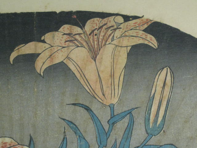 Antique Vintage Hiroshige Japanese Woodblock Fan Lily Flower Art Print Original 4