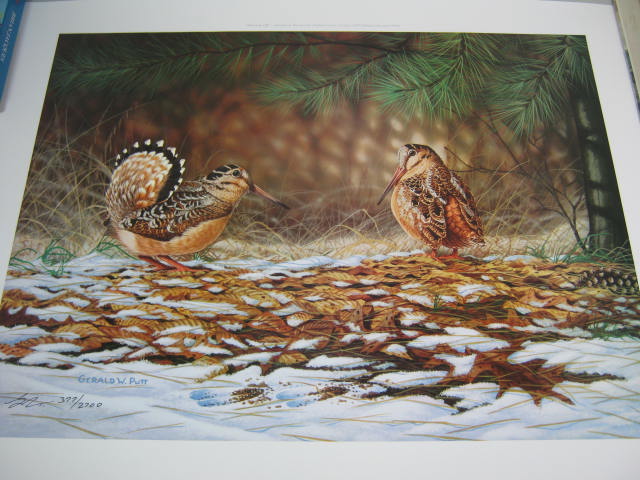 Gerald W Putt S/N Signed Numbered Print Showing Off American Woodcock 377/2700 1