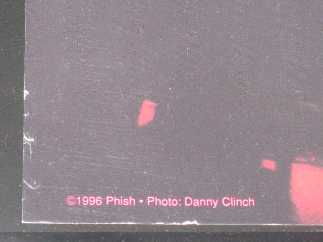1996 Phish Band Signed 1996 Danny Clinch Photo Poster Anastasio Fishman Gordon + 8