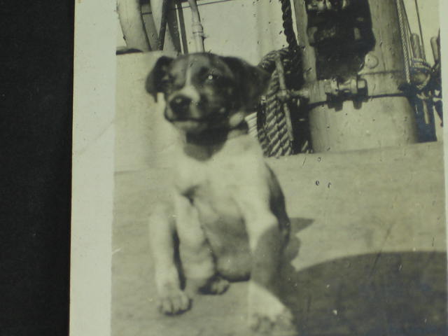 WWI US Navy Photo + Card Scrapbook Album WW1 WW 1 I NR 10